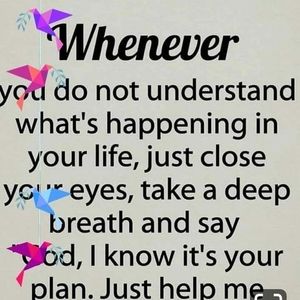 Meet your Posher, Sol